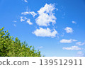 Fresh summer blue sky and steppe 139512911
