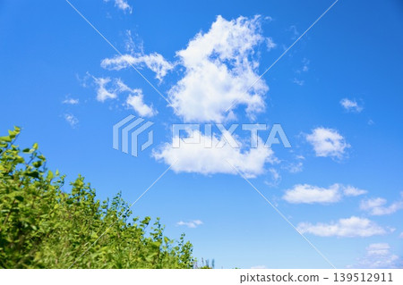 Fresh summer blue sky and steppe Fresh summer blue sky and steppe 139512911
