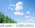 Fresh summer blue sky and steppe 139512912