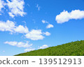 Fresh summer blue sky and steppe 139512913