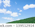 Fresh summer blue sky and steppe 139512914