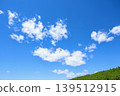 Fresh summer blue sky and steppe 139512915