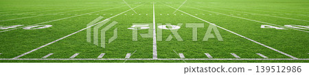 American football field, perspective view American football field, perspective view 139512986