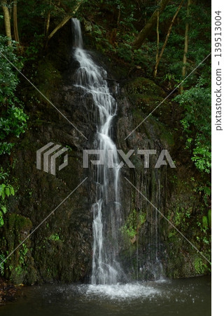 Izumo, Kitajima Kokuzokan, Kame-no-o Waterfall 139513004