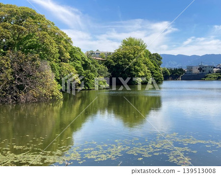 You can see the mountains from the pond. 139513008