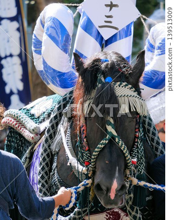 Decorated horse at the Fujisaki Shrine Grand Festival: Black horse (Kumamoto City) Decorated horse at the Fujisaki Shrine Grand Festival: Black horse (Kumamoto City) 139513009