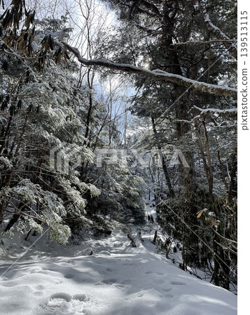 Mount Kinpusan in winter: Hiking trails Mount Kinpusan in winter: Hiking trails 139513115