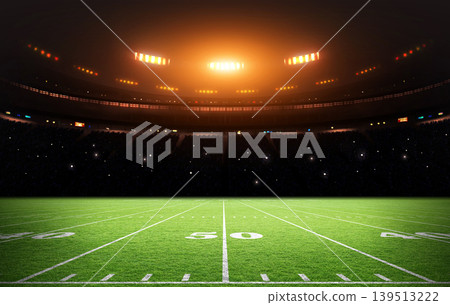 Illuminated American Football Stadium Under the Dark Sky, 3d rendering Illuminated American Football Stadium Under the Dark Sky, 3d rendering 139513222
