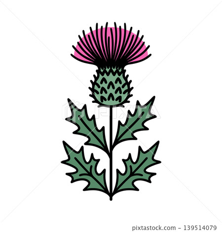 Simple thistle color icon Simple thistle color icon 139514079