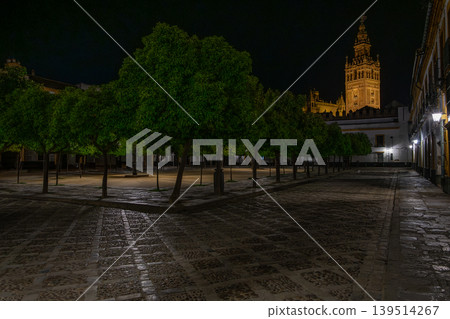 Night View Giralda 139514267