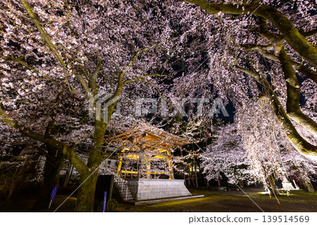 山梨縣南阿爾卑斯市上一之瀨高峰山妙陵寺，著名的賞櫻勝地：盛開的垂枝櫻花和染井吉野櫻花，以及寺廟鐘樓的夜景。 139514569