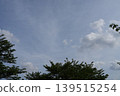 樹和雲 139515254