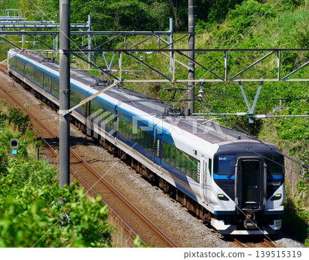 E257系列及2000系列列車用於快速列車大鳥號/湘南號 E257系列及2000系列列車用於快速列車大鳥號/湘南號 139515319