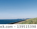 沿著海邊散步 139515398