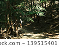 有光的山路 139515401