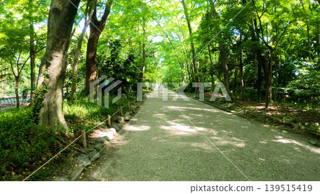 綠樹環繞的神社之路 139515419