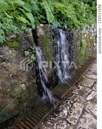 Texture of an old stone path moss plant high-quality photo Texture of an old stone path moss plant high-quality photo 139515486