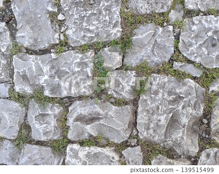Texture of an old stone path moss plant high-quality photo Texture of an old stone path moss plant high-quality photo 139515499