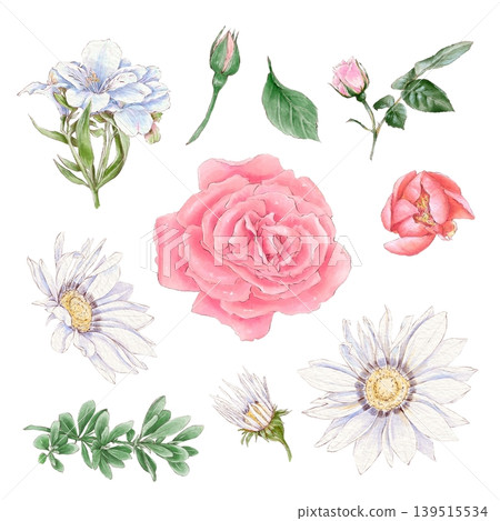 Watercolor illustration of a set of delicate roses and other flowers, hand-drawn. Watercolor illustration of a set of delicate roses and other flowers, hand-drawn. 139515534