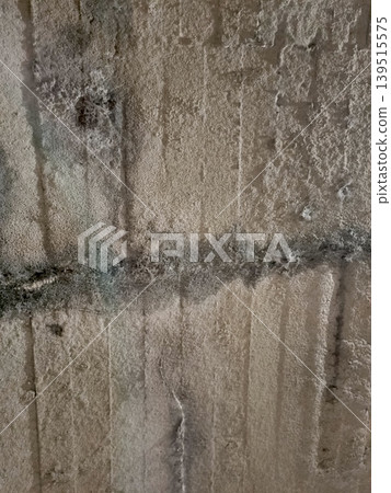 Texture of an old stone path moss plant high-quality photo Texture of an old stone path moss plant high-quality photo 139515575