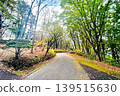A road surrounded by trees 139515630