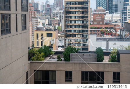 New york, usa august 17,2024. Looking down at a green rooftop terrace with trees and plants amidst the dense urban landscape of manhattan, new york city 139515643