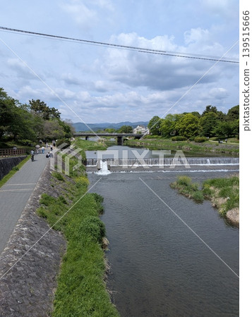 京都鴨川 京都鴨川 139515666