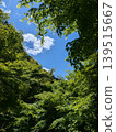 The beautiful scenery of Kyoto with its blue sky and fresh greenery. 139515667