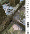 A Japanese lizard appeared on the stone steps of Kyoto. 139515670