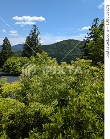 Early summer scenery of Kyoto mountains and fresh green landscapes Early summer scenery of Kyoto mountains and fresh green landscapes 139515672