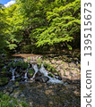 The beautiful scenery of the Kifune River in Kyoto, surrounded by fresh greenery. 139515673