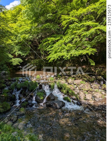京都貴船川的秀麗景色，四周綠樹環繞。 139515673