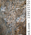 Texture of an old stone path moss plant high-quality photo 139515750
