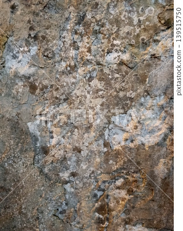 Texture of an old stone path moss plant high-quality photo 139515750