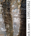 Texture of an old stone path moss plant high-quality photo 139515862