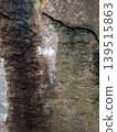 Texture of an old stone path moss plant high-quality photo 139515863