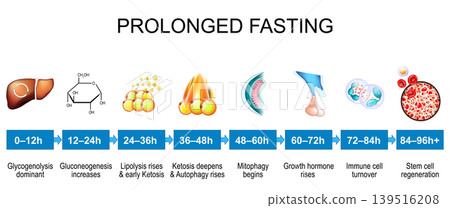 Biological stages of fasting from glycogenolysis to stem cell renewal. Prolonged fasting Biological stages of fasting from glycogenolysis to stem cell renewal. Prolonged fasting 139516208