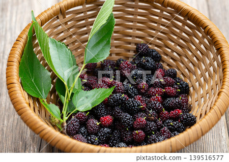 Black mulberry and red mulberry in a basket, close-up. Organic fresh berries. sweet blackberries Black mulberry and red mulberry in a basket, close-up. Organic fresh berries. sweet blackberries 139516577