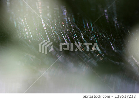 a spider web with different colors on it in the sunlight 139517238