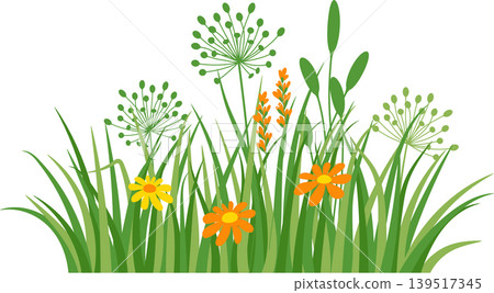 Flowers and grass border, meadow flowers and green grass, vector illustration Flowers and grass border, meadow flowers and green grass, vector illustration 139517345
