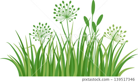 Green grass, meadow herb and grass, vector illustration 139517346