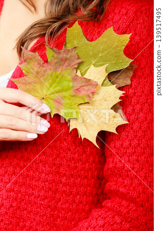 autumnal girl with maple leaves in hand autumnal girl with maple leaves in hand 139517495