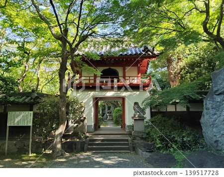 Toganji Temple (Nagoya Great Buddha) Toganji Temple (Nagoya Great Buddha) 139517728