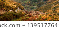 Wide panoramic view of a rugged mountain valley covered in orange ferns, green shrubs, and rocky outcrops during the autumn season. 139517764