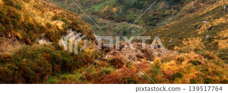 Wide panoramic view of a rugged mountain valley covered in orange ferns, green shrubs, and rocky outcrops during the autumn season. 139517764