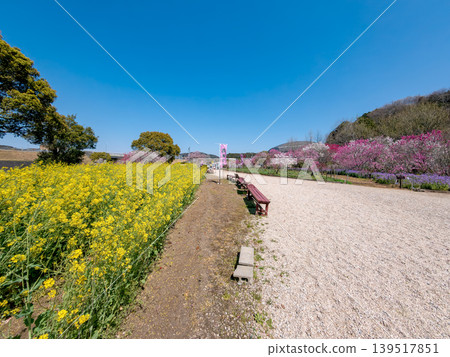 桃花(四月,晴天) 桃花(四月,晴天) 139517851