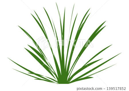 Green grass tuft isolated on transparent background, plant cutout Green grass tuft isolated on transparent background, plant cutout 139517852
