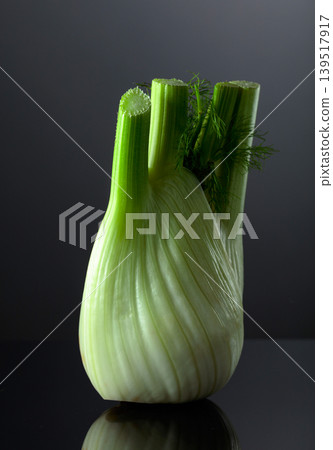 Fennel bulb with green stalks and fronds on a black background. Fennel bulb with green stalks and fronds on a black background. 139517917