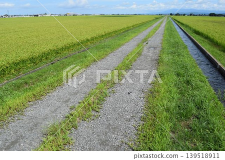 Farm road and rural scenery Shonai, Yamagata Prefecture Farm road and rural scenery Shonai, Yamagata Prefecture 139518911