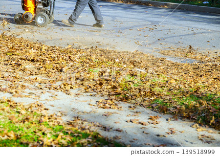 People use leaf blower to clean street covered in autumn leaves in neighborhood People use leaf blower to clean street covered in autumn leaves in neighborhood 139518999